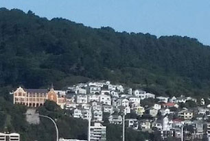 Wellington city landscape